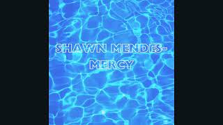 Shawn MendesMercy [upl. by Iana]