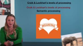 VCE Psychology  Craik and Lockharts Levels of Processing [upl. by Taran]