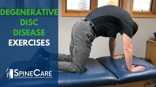 Degenerative Disc Disease Exercises  SpineCare St Joseph MI Chiropractic [upl. by Hippel]