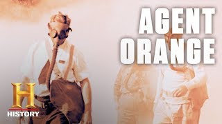 What Is Agent Orange  History [upl. by Elamor]