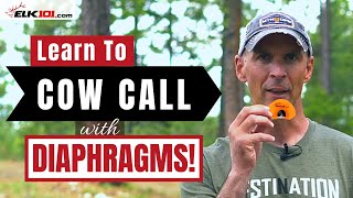 How to Cow Call with Diaphragm Elk Calls [upl. by Ainafetse]