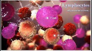 Thyroid Nodules FAQs  Symptoms Diagnosis amp Treatments [upl. by Cleti]