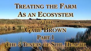 Treating the Farm as an Ecosystem with Gabe Brown Part 1 The 5 Tenets of Soil Health [upl. by Eiten]