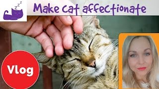 🐱 5 ways to make your cat more affectionate 🐱 [upl. by Nioe]