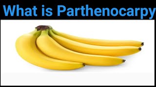 What is Parthenocarpy [upl. by Brenden982]