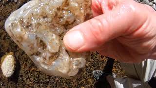 How To Find Beautiful Agates and Jasper at Greenwater Wash [upl. by Aikar255]