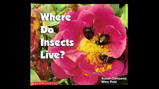 Where Do Insects Live [upl. by Brindle]