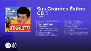 Joselito  Sus Grandes Éxitos álbum completo  full album [upl. by Mikael]