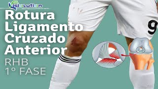 Ligamento Cruzado Anterior  REHABILITACIÓN con EJERCICIOS  1º FASE  Fisiolution [upl. by Erdna]