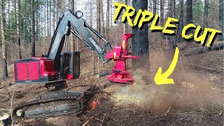 TimberPro TL775D  Triple Cutting Monster Timber [upl. by Aigil803]