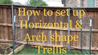 Trellis set up  Complete Guide and Detailed instructions [upl. by Amilas]