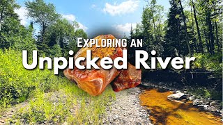 Unpicked River full of Treasure  Finding Lake Superior Agates Amethyst Jasper amp Other Minerals [upl. by Carola]