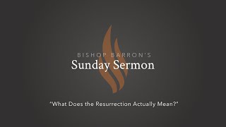 What Does the Resurrection Actually Mean — Bishop Barron’s Sunday Sermon [upl. by Mcnully199]