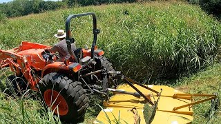 GRASS SO OVERGROWN I Couldnt Use A Regular LAWN MOWER [upl. by Sibbie597]