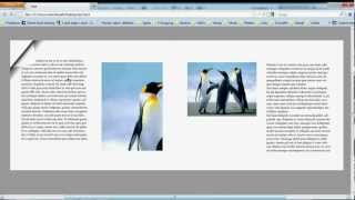 PDF zum blättern InDesign CS5 Tutorial Page Flipping [upl. by Esyli]