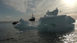 Arctique  la fonte de la banquise saccélère [upl. by Etnovahs]