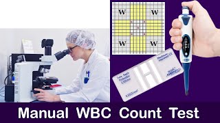 Manual WBC Count Test  Complete Explain [upl. by Meeki]