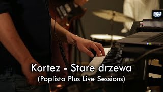 Kortez  Stare Drzewa Poplista Plus Live Sessions [upl. by Barry]