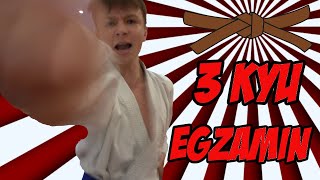 Egzamin na I brązowy pas KARATE [upl. by Mcallister148]