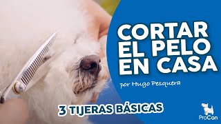 3 TIPOS DE TIJERAS PARA CORTAR EL PELO EN CASA [upl. by Jocko]