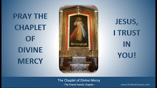 Pray the Chaplet of Divine Mercy [upl. by Adidnere311]