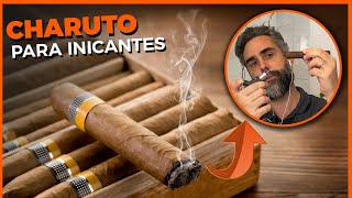 Charutos para iniciantes  Guia Básico  como acender cortar guardar e harmonizar  Feat CIGAR 019 [upl. by Eelrac]