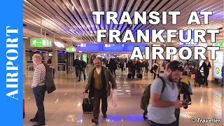 TRANSIT WALK AT FRANKFURT Airport FRA Terminal 1  Connection Flight Transfer Arriving amp Departing [upl. by Geminius745]