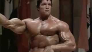 Arnold Schwarzenegger  Bodybuilding Motivation [upl. by Llenral]