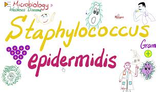 Staphylococcus epidermidis  Microbiology 🧫 amp Infectious Diseases 🦠 [upl. by Wolfy]