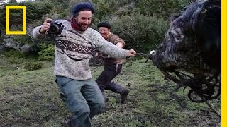 Capturing the Rugged Lives of Patagonias Gauchos [upl. by Kreager]