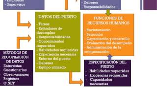 Análisis y descripción de puestos [upl. by Neltiac]