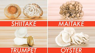 Trying Every Type Of Mushroom  The Big Guide  Epicurious [upl. by Salomo14]