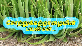 TamilTamil NattuTamil Nattu MaruthuvamTamil Siddha MaruthuvamTamil Natural MedicineSiddha [upl. by Hannahs]