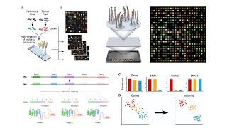 FREE Webinar  OmicsLogic Transcriptomics Program December 2020 [upl. by Renrag869]