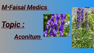 Aconitum napellus Family ranunculaceae [upl. by Adriano]