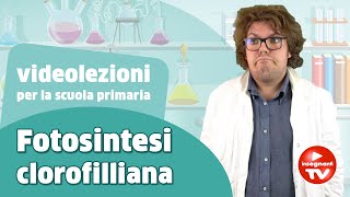 Videolezioni la Fotosintesi clorofilliana  Renato lo scienziato Renatoloscienziato [upl. by Eahsram]