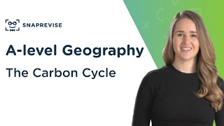 The Carbon Cycle  Alevel Geography  OCR AQA Edexcel [upl. by Sihunn]