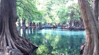 Lago de Camécuaro Michoacán México [upl. by Hertha910]