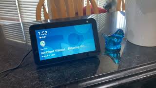 How to Connect Devices to Alexa Echo Show 5 amp Blink Camera [upl. by Ardnait47]