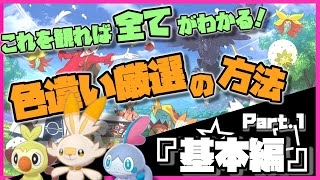 【ポケモン剣盾】これを観れば全てがわかる！色違い厳選講座！色違いの基本確率・エフェクト・ブロックルーチン等編1【ゆっくり実況ゆっくり解説】 [upl. by Thurmann]