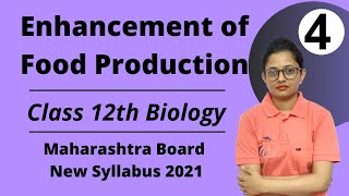 Enhancement of Food Production Class 12th Biology Part 4 [upl. by Zetana]