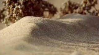 How to Make a Sand Dune  Dune  BBC Studios [upl. by Shepherd388]