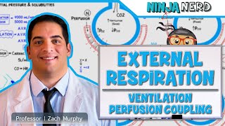 Respiratory  External Respiration Ventilation Perfusion Coupling [upl. by Egag340]