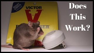 Testing Out the Victor PESTCHASER Ultrasonic Rodent Repeller Does It Work [upl. by Merna]