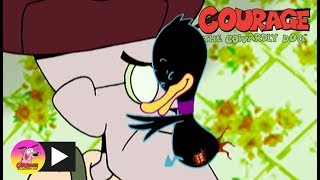 Courage The Cowardly Dog  Deadly Duckling  Cartoon Network [upl. by Keyek236]