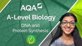 AQA A Level Biology DNA and Protein Synthesis [upl. by Timms223]