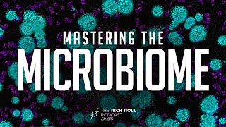 Mastering the Microbiome A Master Class in Gut Health  Rich Roll Podcast [upl. by Wauters]