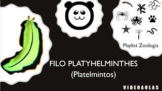 Filo Platyhelminthes Os Platelmintos [upl. by Arquit289]