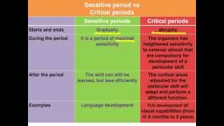 Sensitive vs Critical periods of learning  VCE Psychology [upl. by Eeloj]