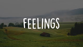 Lauv  Feelings Lyric Video [upl. by Erdnad]